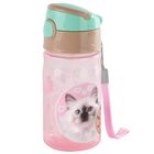 Cleo si Frank, sticla de apa, Pisoi, 330 ml