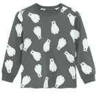 Cool Club, Bluza cu maneca lunga pentru baieti, gri