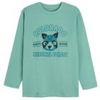 Cool Club, Bluza cu maneca lunga pentru baieti, turcoaz, imprimeu Colorado