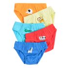 Cool Club, Chilotei pentru baieti, mix, set, 5 buc.