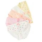 Cool Club, Chilotei pentru fete, mix, set, 5 buc.