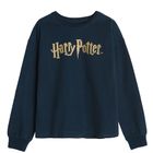 Cool Club, Hanorac fete, culoare bleumarin, imprimeu Harry Potter
