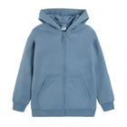 Cool Club, Hanorac oversize cu gluga si fermoar pentru baieti, albastru, litera B