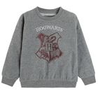 Cool Club, Hanorac subtire pentru baieti, oversize, gri melanj, imprimeu Harry Potter