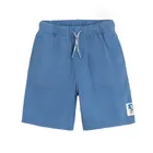 Cool Club, Pantaloni scurti din textil pentru baieti, albastru, imprimeu Sonic the Hedgehog