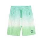 Cool Club, Pantaloni scurti pentru baieti, albastru-verde