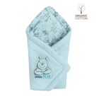 Cool Club, Paturica - sistem de infasat pentru baietei, bumbac organic, albastru deschis, imprimeu Winnie the Pooh