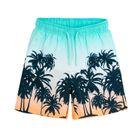 Cool Club, Sorturi de baie pentru baieti, UV 50, mix