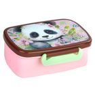 Cutie pentru pranz, Panda