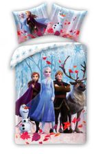 Frozen, set lenjerie de pat single, 140-200 cm
