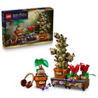 LEGO Harry Potter, Plante pentru ora de ierbologie de la Hogwarts, 76474