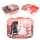 Miss Melody, Blossom Pony, cutie pentru pranz cu compartimente