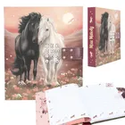 Miss Melody, Taylor Swift, jurnal cu cod, cu sunet