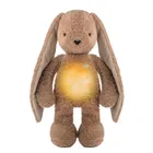 MyHummy (Szumisie), Iepuras 5 in 1 cu pernuta termica din grau, 30 cm, maro