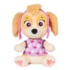 Paw Patrol, Bedtime Plush, jucarie de plus, Skye, 25 cm