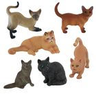 Pisici, set de figurine, 6 buc.