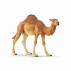 Schleich, Wild Life, Camila dromader, figurina, 14832