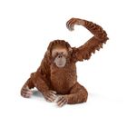 Schleich, Wild Life, Orangutan femela, figurina, 14775