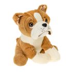 Smiki, Buldog, caine, jucarie de plus, 26 cm