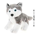 Smiki, Caine Husky, jucarie de plus, gri, 25 cm