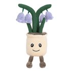 Smiki, Clopotel, planta de plus in ghiveci