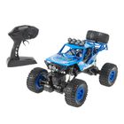 Smiki, Masinuta buggy, vehicul cu telecomanda, albastru