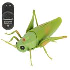 Smiki, Tech-Bot Nature, lacusta cu telecomanda