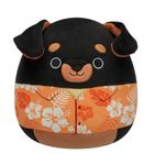 Squishmallows, Mateo, jucarie de plus, 19 cm