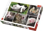 Trefl, Doar chestii de pisica - colaj, puzzle, 1500 piese