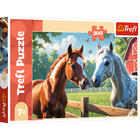 Trefl, Horses, puzzle, 160 piese