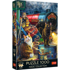 Trefl, Magic Collection, Lisa Parker, Witchwood Express, puzzle, 1000 piese
