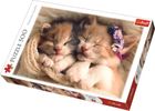 Trefl, Pisoi adormiti, puzzle, 500 piese