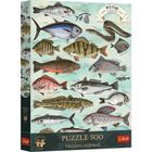 Trefl, Premium Plus, Finders Keepers, Fish Collection, puzzle, 500 piese