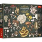 Trefl, Premium Plus, Finders Keepers, Mushroom Collection, puzzle, 500 piese