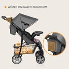 Lionelo, Emma Plus, carucior sport, Pink Scandi