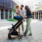 Lionelo, Ingrid, carucior pentru plimbare, Black Onyx