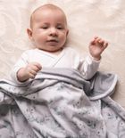 Babymatex, Bamboo, Iepurasi, patura din bambus cu doua fete, 75-100 cm