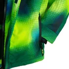 Cool Club, Geaca de schi impermeabil pentru baieti, cu gluga, calduroasa, verde