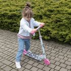 Kidwell, Skipo Dog, trotineta pliabila