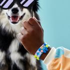 LEGO DOTS, Bratara cu animalele mele de companie, 41801