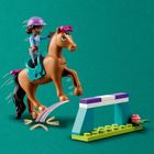 LEGO Friends, Dresaj pentru cai, 41746