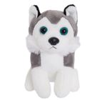 Smiki, Fun Pets, Catelusul calator, troller cu jucarie de plus