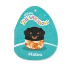 Squishmallows, Mateo, jucarie de plus, 19 cm