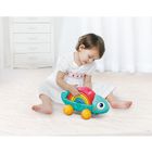 Hola, Cameleon curcubeu, jucarie pentru bebelusi