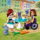 LEGO Friends, Clatitarie, 41753