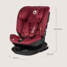 Lionelo, Bastiaan, scaun auto, i-Size, RWF, Red Burgundy, 40-150 cm