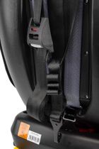 Caretero, Arro, scaun auto, Isofix, 0-36 kg, gri