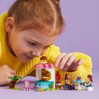 LEGO Friends, Clatitarie, 41753