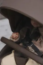 Lionelo, Mika Plus, carucior de plimbare, Mocha Mousse