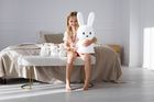 InnoGIO, GIOpenguin, veioza din silicon, Pinguin